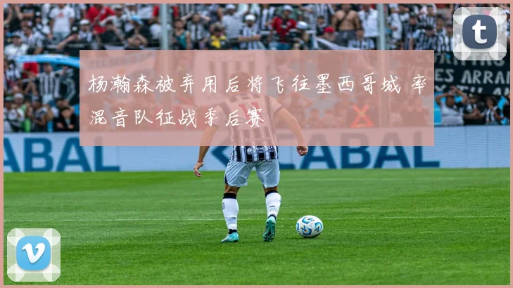 杨瀚森被弃用后将飞往墨西哥城 率混音队征战季后赛