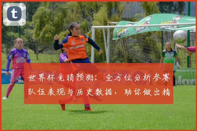 世界杯竞猜预测：全方位分析参赛队伍表现与历史数据，助你做出精准预测