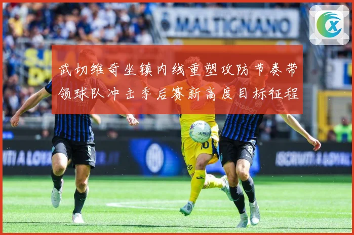 武切维奇坐镇内线重塑攻防节奏带领球队冲击季后赛新高度目标征程解析