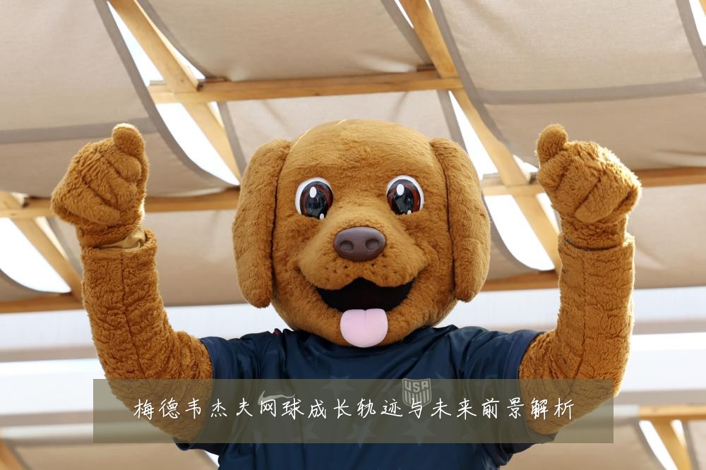 梅德韦杰夫网球成长轨迹与未来前景解析