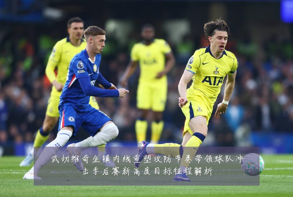 武切维奇坐镇内线重塑攻防节奏带领球队冲击季后赛新高度目标征程解析