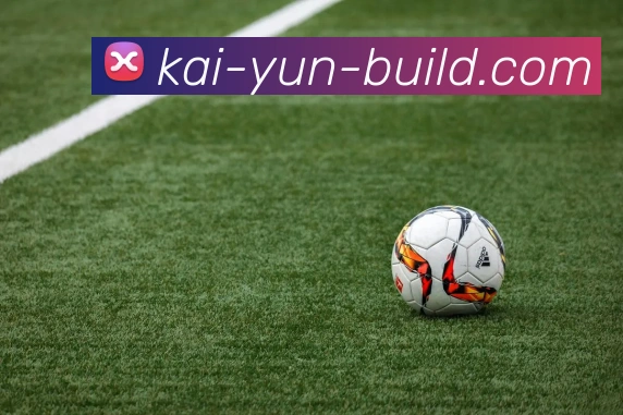 开云平台展示图