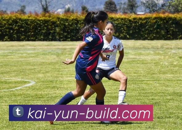 开云官网全站App